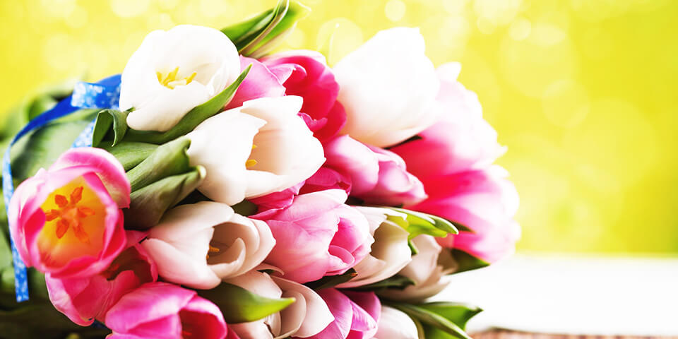 Международный женский день, тюльпаны, праздник, 8 марта